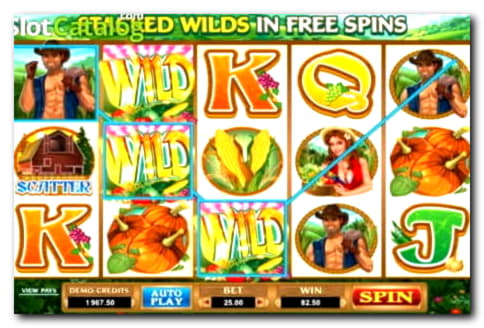 $1550 NO DEPOSIT at Red Stag Casino