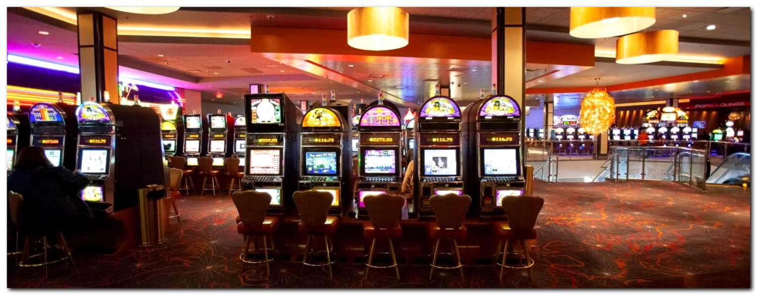 £165 Free Casino Chip at Casino Dingo